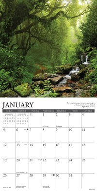 2025 Willow Creek Heaven Has a Forest 12" x 12" Monthly Wall Calendar (43325)