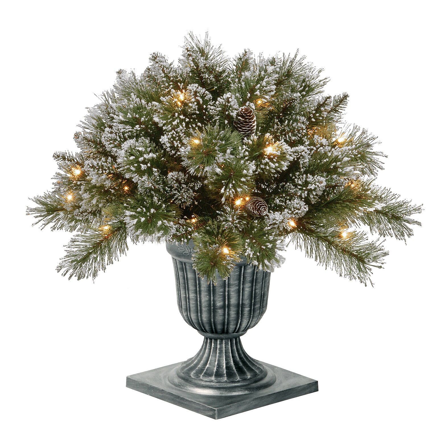 National Tree Company 24 Pre-Lit Glittery Bristle Pine Porch Bush with Twinkly LED Lights (GB3-300T-24P-S)
