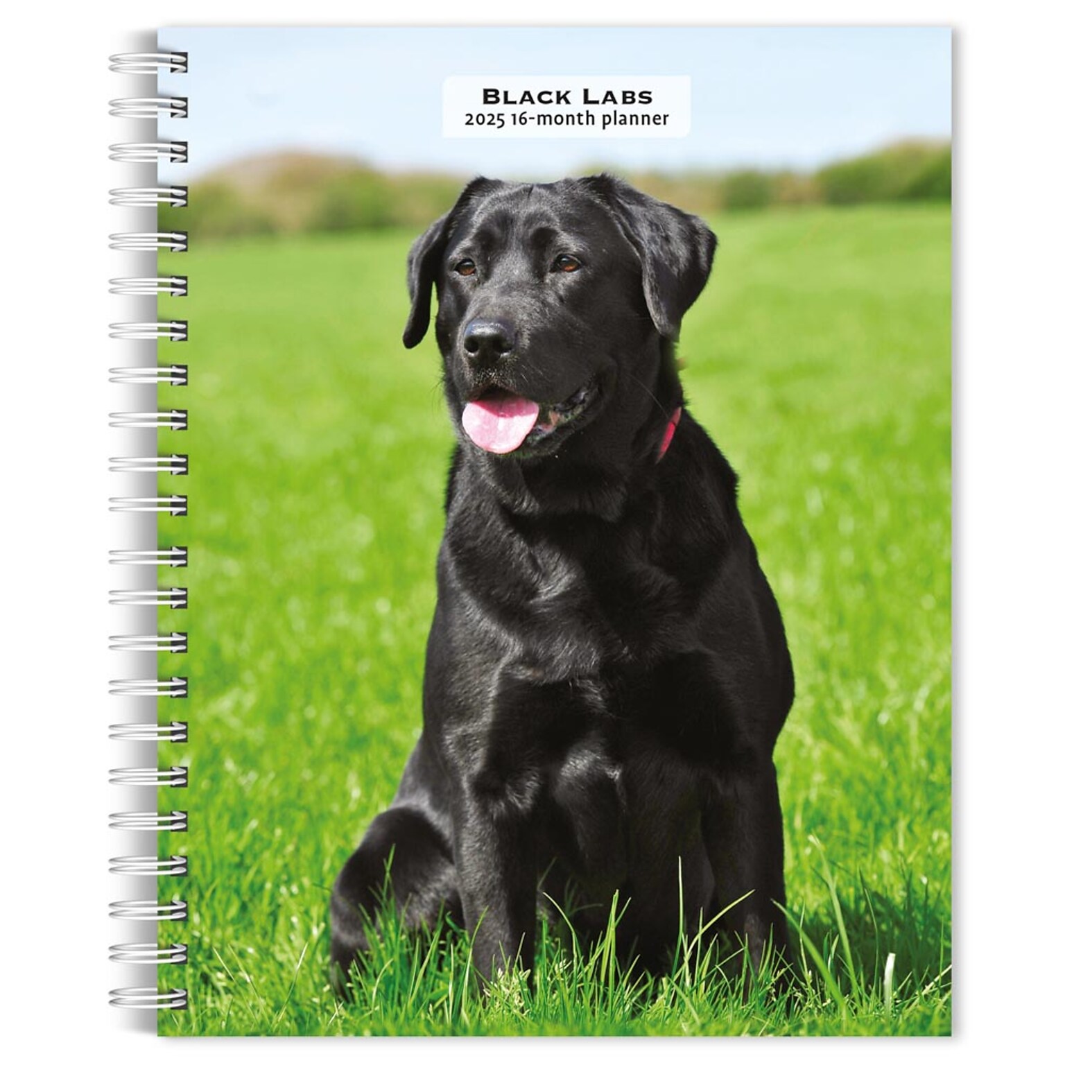 2025 BrownTrout Black Labrador Retrievers 6 x 7.75 Weekly Engagement Planner, Paper Cover, Multicolored (9781975473235)