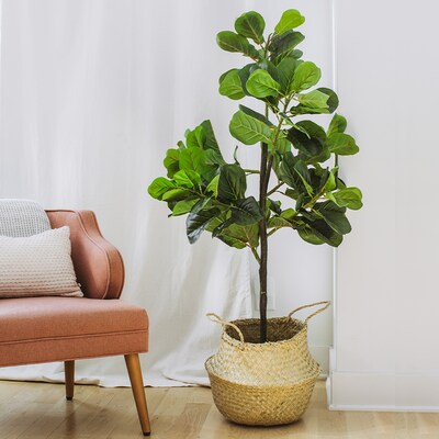 Forever Leaf 60" Artificial Fiddle Fig Leaf Plant in Black Pot (FEV-FIBL60)
