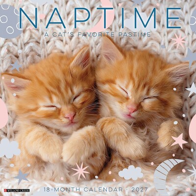 2027 Willow Creek Naptime: A Cats Favorite Pastime 12 x 12 Monthly Wall Calendar (61404)