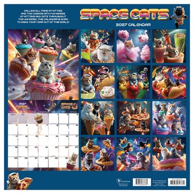 2027 TF Publishing Space Cats 11" x 12" Monthly Wall Calendar, Multicolored (27-1026)