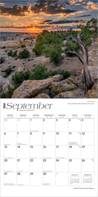 2026 BrownTrout New Mexico Wild & Scenic 12" x 12" Monthly Wall Calendar (9798330704859)
