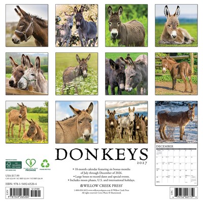 2027 Willow Creek Donkeys  12 x 12 Monthly Wall Calendar (65204)