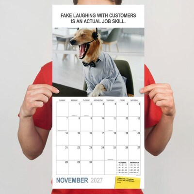 2027 TF Publishing Desk Dogs 10" x 12" Monthly Wall Calendar, Multicolored (27-1052)