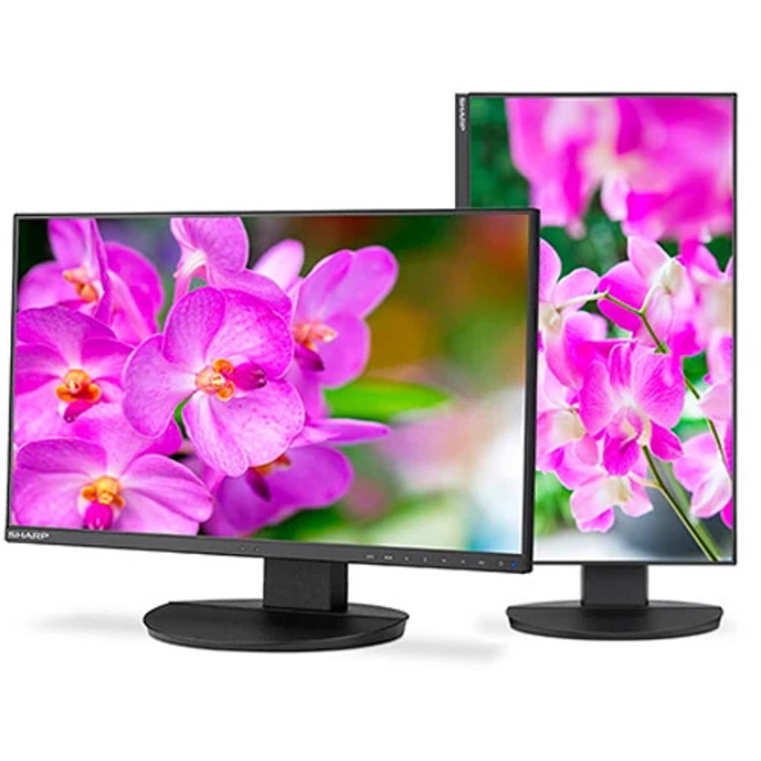 Sharp MultiSync 23.8  FHD IPS 75Hz Desktop Monitor, Built-In Speaker, Height Adjustable, Black (DD-EA241F)