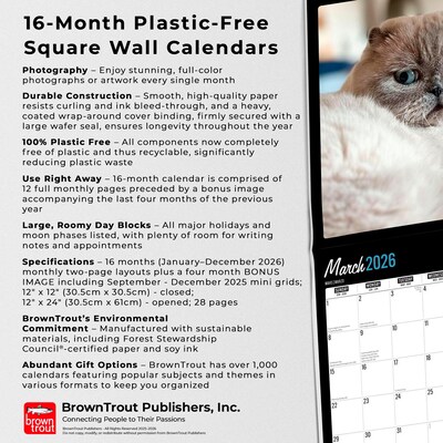 2026 BrownTrout Cat Selfies 12" x 12" Monthly Wall Calendar (9798330702794)