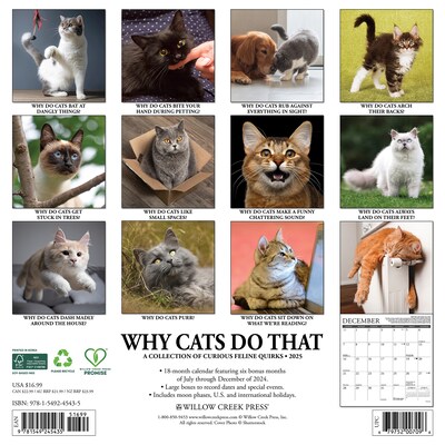 2025 Willow Creek Why Cats Do That 12 x 12 Monthly Wall Calendar (45435)