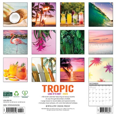 2026 Willow Creek Tropic Like It’s Hot 12 x 12 Monthly Wall Calendar (56196)