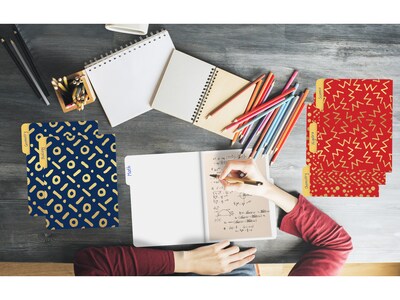 Better Office Heavy-Duty File Folders, 1/3-Cut Tab, Letter Size, Paper Stock, Assorted Colors, 18/Pack (80031-18PK)