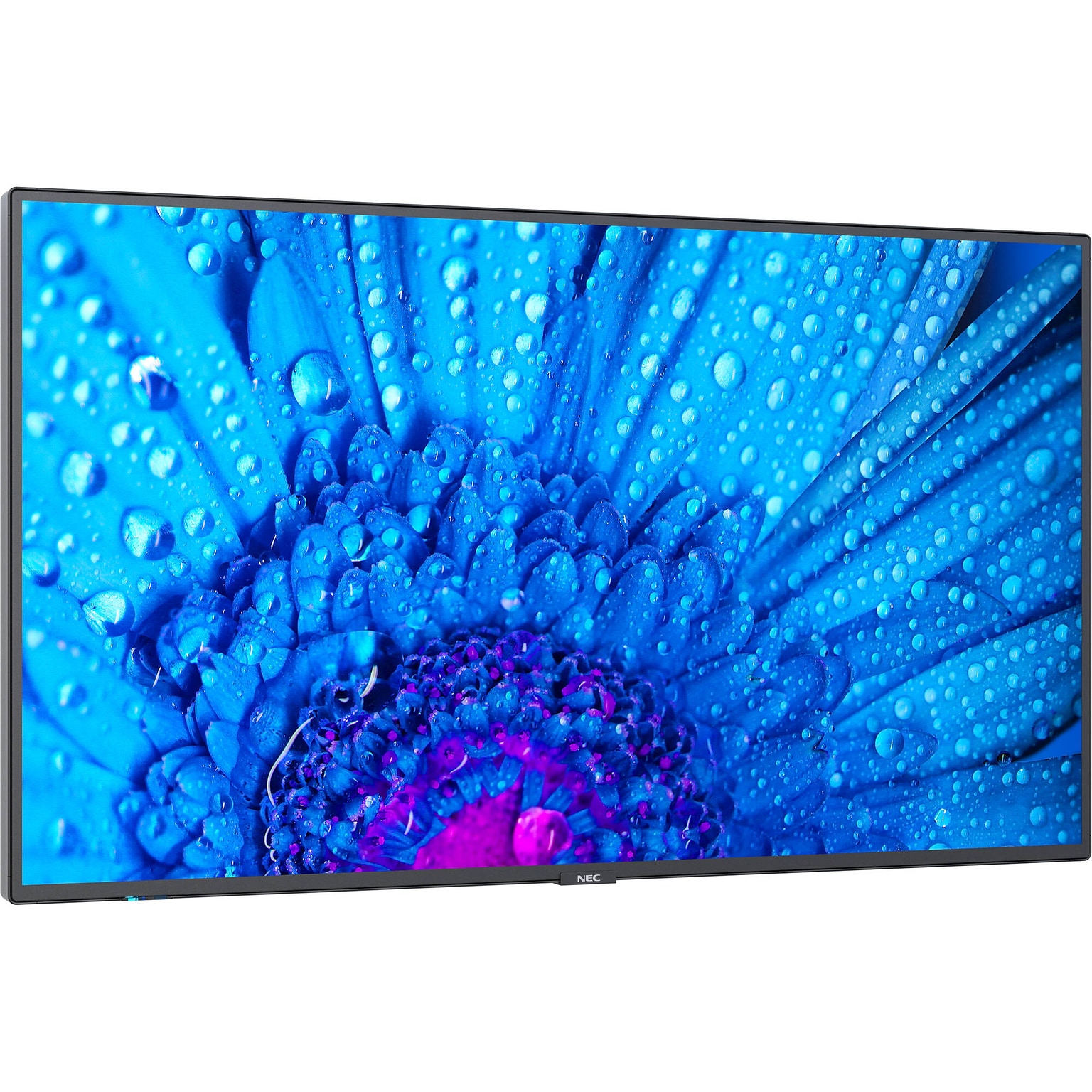 Sharp M 55 Wall Mountable Signage/Media Player for Digital Signage (M551-2)