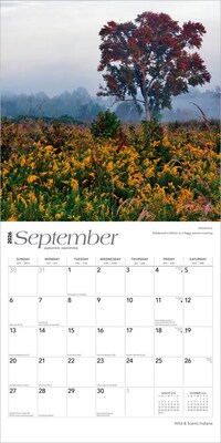 2026 BrownTrout Indiana Wild & Scenic 12" x 12" Monthly Wall Calendar (9798330703876)