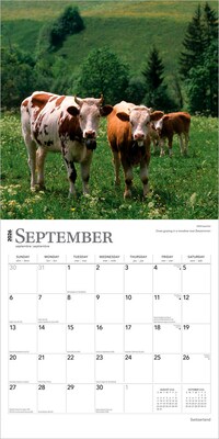 2026 BrownTrout Switzerland 12" x 12" Monthly Wall Calendar (9798330705757)