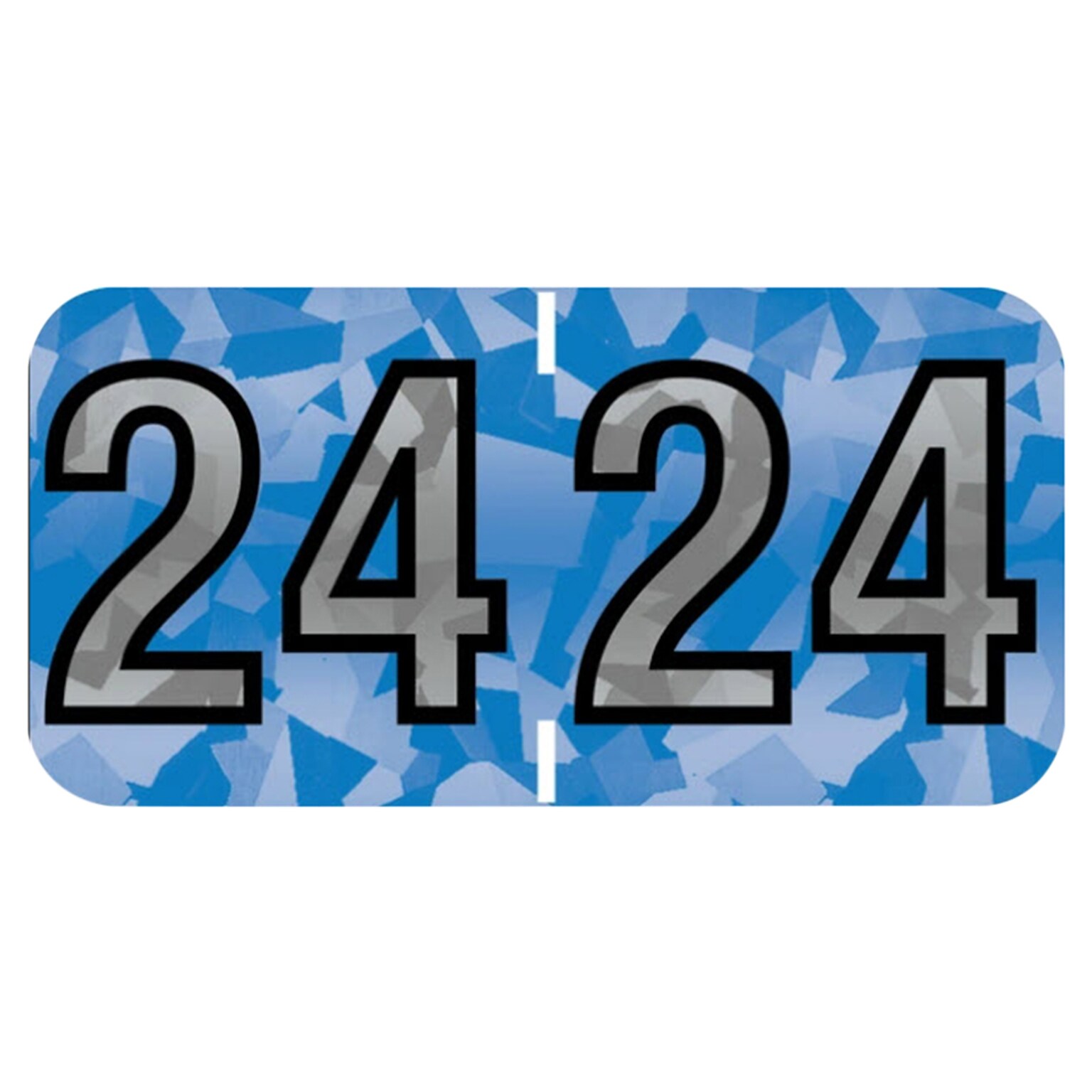 Medical Arts Press Holographic EndTab Year Labels, 2024, Blue, 500