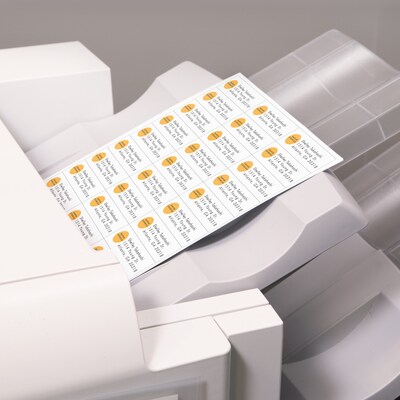 Avery Address Labels for Copiers, 1" x 2-13/16", White, 33 Labels/Sheet, 100 Sheets/Box   (5351)