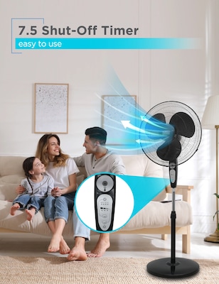 Black & Decker 18" Oscillating Pedestal Fan with Remote, 3-Speed, Black (BDSF18MB)