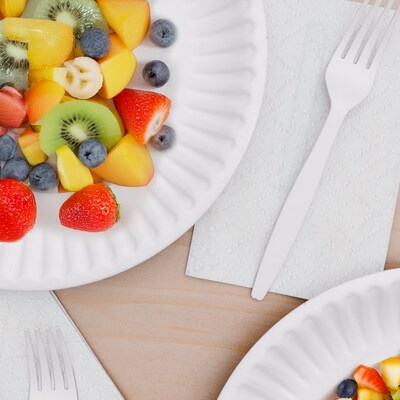 Perk™ Economy Paper Plates, 9", White, 1000/Carton (PK56516CT)