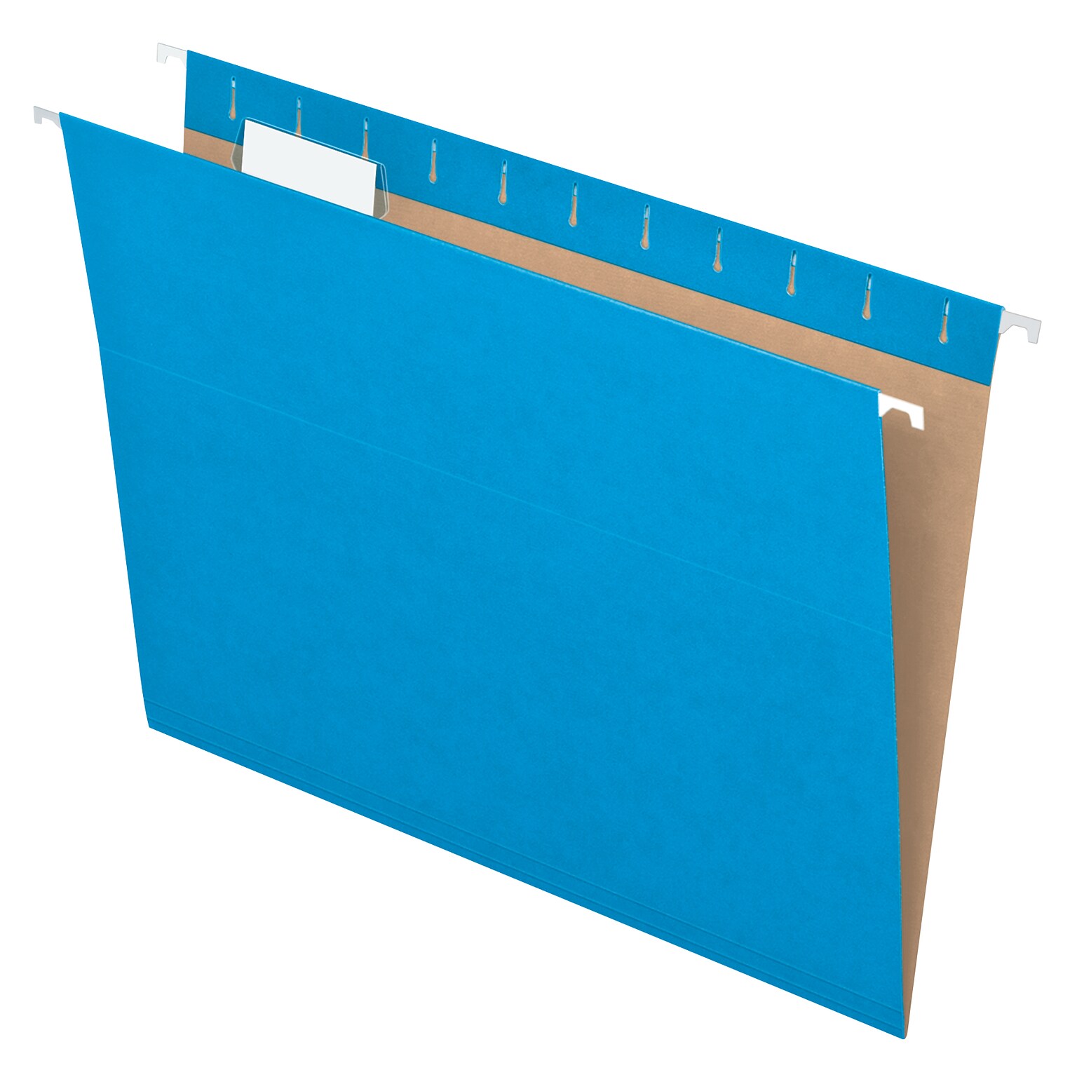 Pendaflex Recycled Hanging File Folders, 1/5 Tab, Letter Size, Blue, 25/Box (81603)