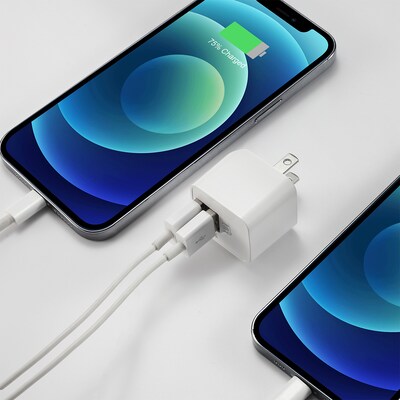 LAX Gadgets USB-A/USB-C Wall Charger, 12W, White (WLL2PWHT)