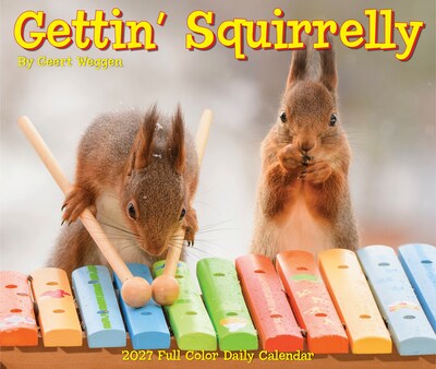 2027 Willow Creek Gettin' Squirrelly 5.4" x 6.2" Day-to-Day Calendar (63484)
