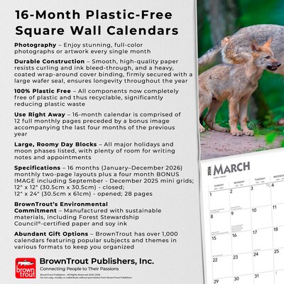 2026 BrownTrout Wolves 12" x 12" Monthly Wall Calendar (9798330706402)