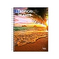 2024 BrownTrout Tropical Islands 6 x 7.75 Weekly & Monthly Engagement Planner, Multicolor (9781975