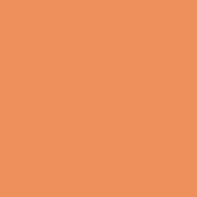 Apple Barrel Acrylic Paint Matte, 8oz., Pumpkin Orange, 6/Pack (APP20470E-6)