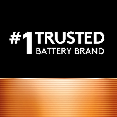 Duracell Size 312 Brown Hearing Aid Batteries, 8/Pack (DA312B8ZM09)