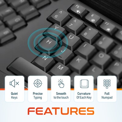 Delton Ergonomic Wireless Keyboard and Trackball Mouse Combo, Black (DKMBKB200BD1)