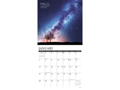 2024 Willow Creek God's Palette 12" x 12" Monthly Wall Calendar (33685)