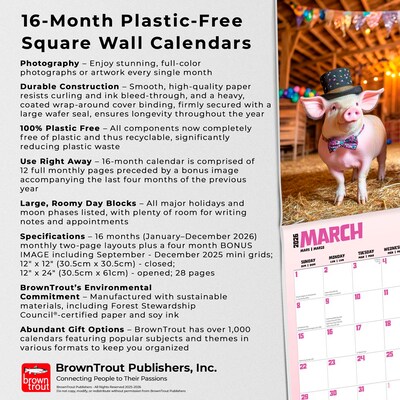 2026 BrownTrout Pigsty 12" x 12" Monthly Wall Calendar (9798330707263)