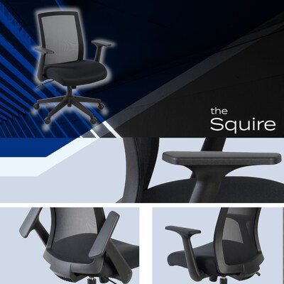 Regency Squire Ergonomic Task Mesh Office Swivel Chair w/ Flip Up Arms, Black (5401BK)