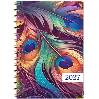 2027 Excello Brands 6" x 8" Weekly & Monthly Standard Planner, Paperboard Cover, Pastel Peacock (FSHN-CY27-58-61)
