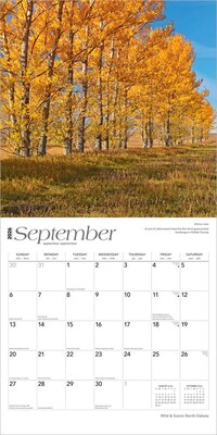 2026 BrownTrout North Dakota Wild & Scenic 12" x 12" Monthly Wall Calendar (9798330704927)