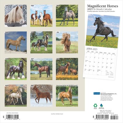 2025 Plato Magnificent Horses 12 x 12 Monthly Square Wall Calendar (9781975478995)
