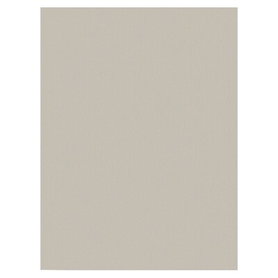 Prang 9" x 12" Construction Paper, Gray, 50 Sheets/Pack, 10 Packs/Bundle (PAC8803-10)