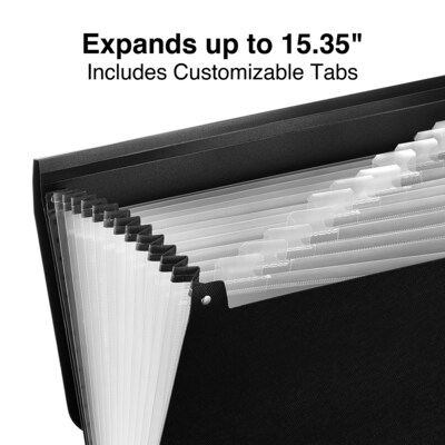 TRU RED Plastic Accordion File, 13-Pocket, Letter Size, Black (TR51807)