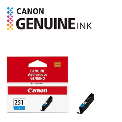 Canon 251 Cyan Standard Yield Ink Cartridge (6514B001)