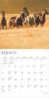 2025 BrownTrout Cowboys 12" x 12" Monthly Wall Calendar (9781975476885)