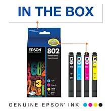 Epson T802 Black/Cyan/Magenta/Yellow Standard Yield Ink Cartridge, 4/Pack   (T802120-BCS)