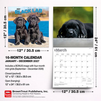 2027 BrownTrout Black Labrador Retriever Puppies 12" x 12" Monthly Wall Calendar (9798330712526)