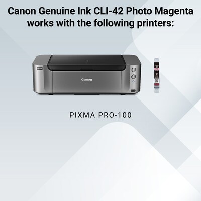 Canon 42 Photo Magenta Standard Yield Ink Cartridge (6389B002)