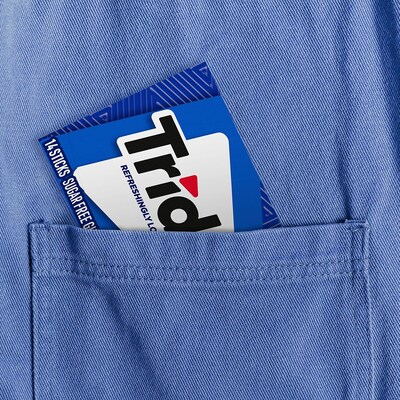 Trident Sugar Free Perfect Peppermint Gum, 14 Pieces/Pack, 12/Pack (209-02517)