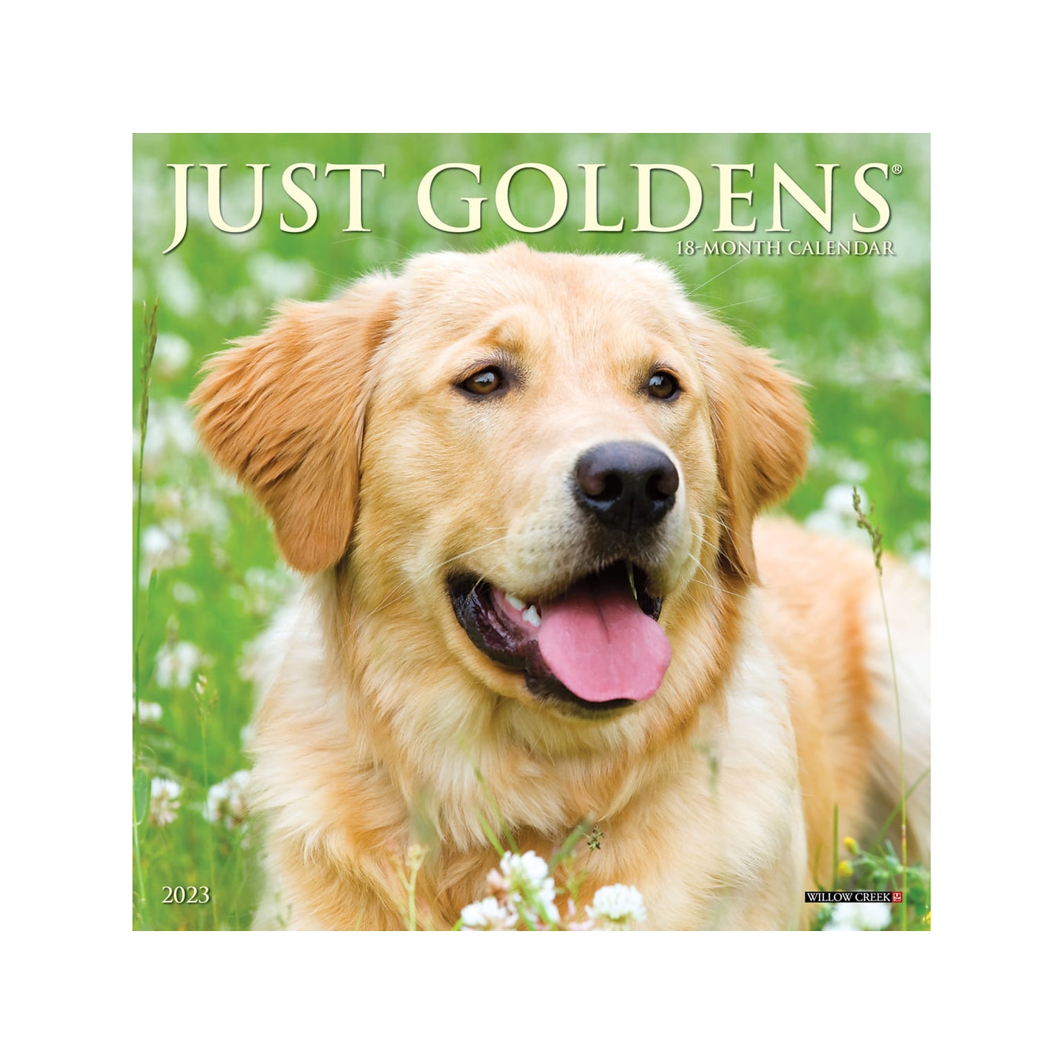 2023 Willow Creek Just Goldens 7" x 7" Monthly Wall Calendar (28490