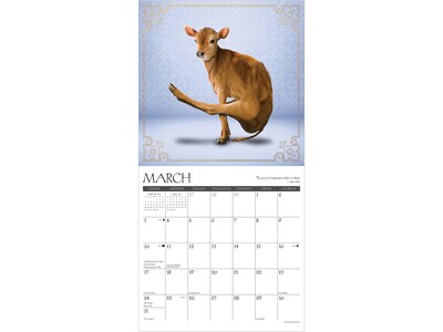 2024 Willow Creek Cow Yoga 12" x 12" Monthly Wall Calendar (33258)