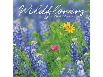 2025 Willow Creek Wildflowers 12 x 12 Monthly Wall Calendar (45473X)