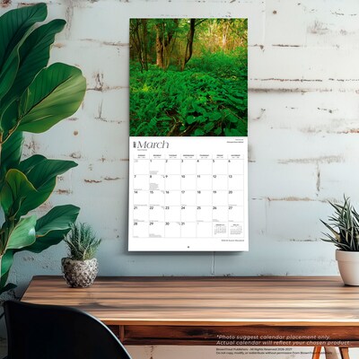2027 BrownTrout Maryland Wild & Scenic 12" x 12" Monthly Wall Calendar (9798330714353)