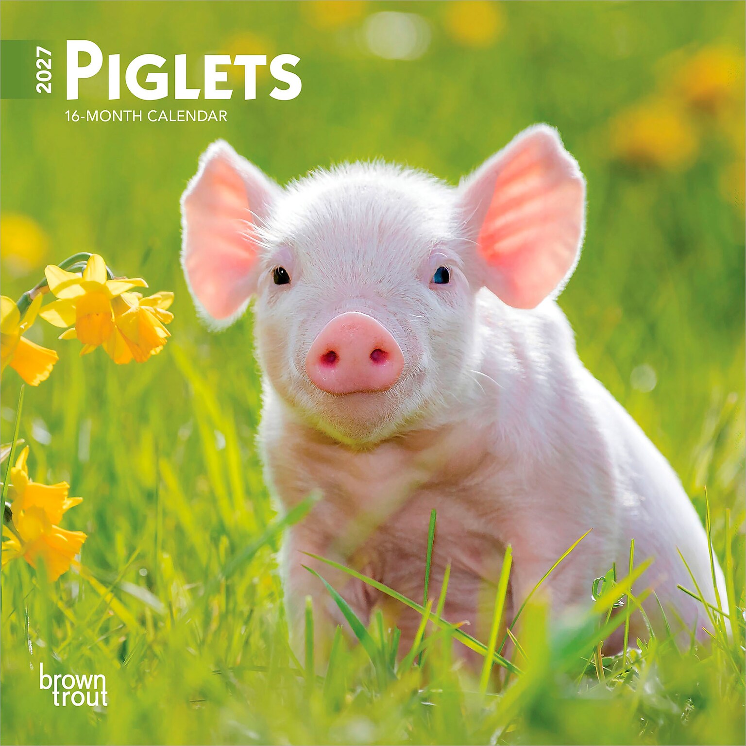 2027 BrownTrout Piglets 7 x 7 Monthly Wall Calendar (9798330709816)