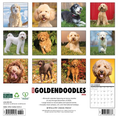 2026 Willow Creek Goldendoodles 12 x 12 Monthly Wall Calendar (51313)