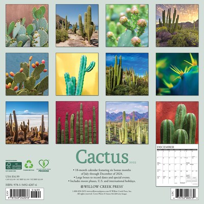 2025 Willow Creek Cactus 12 x 12 Monthly Wall Calendar (42076)